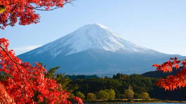 NAGOYA - OSAKA - KYOTO - NÚI PHÚ SĨ - TOKYO